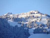 DSC01514.JPG