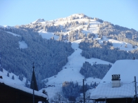 DSC01524.JPG